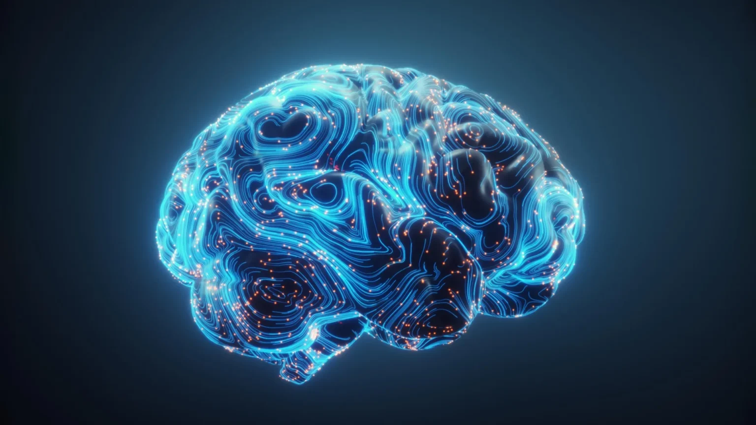 Scientists discover how the brain is rewired to truly multitask Scientists discover how the brain is rewired to truly multitask