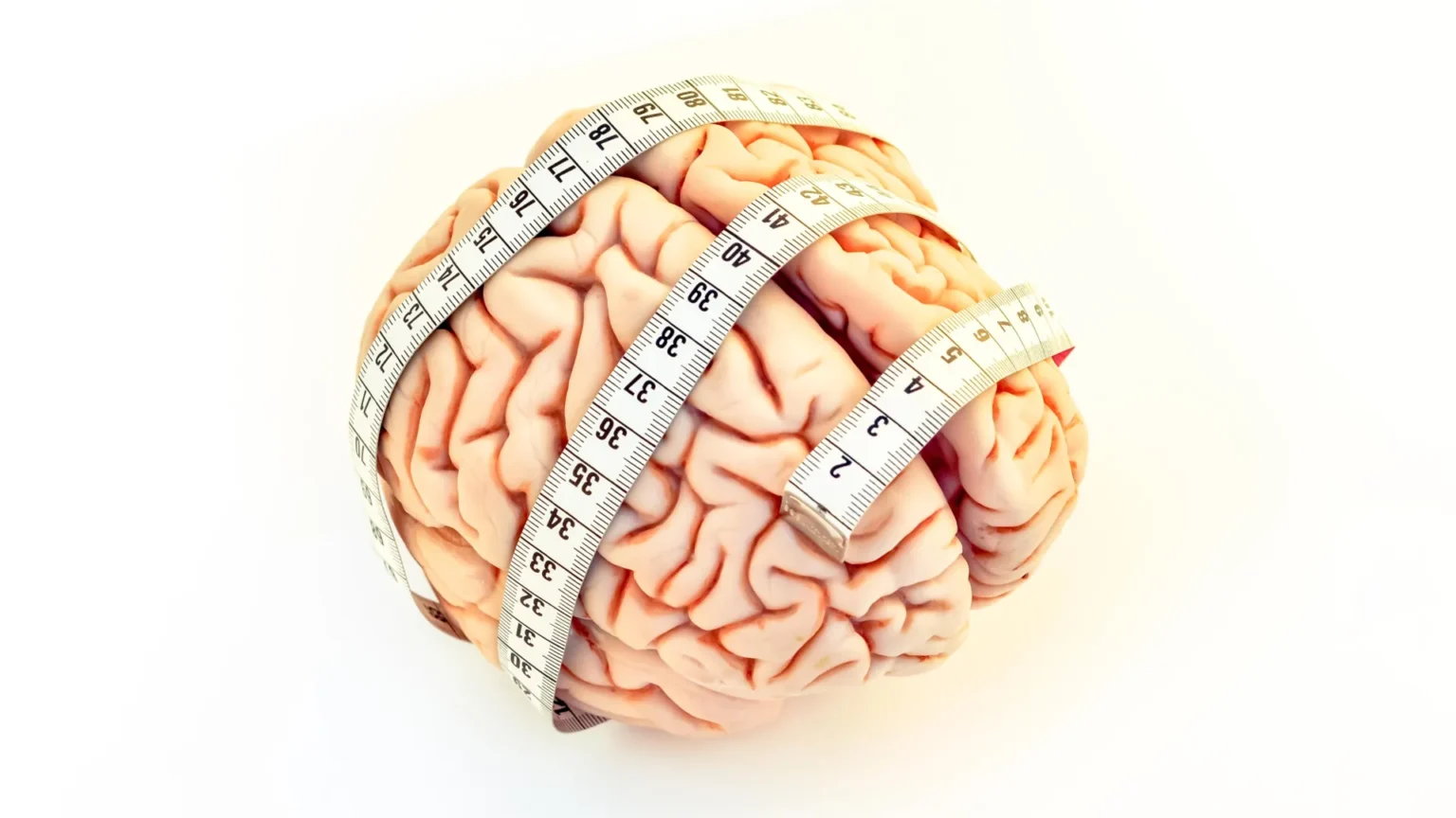 Watching too much TV in middle age may cause your brain to shrink Watching too much TV in middle age may cause your brain to shrink