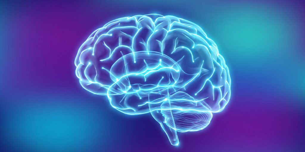 Socioeconomic status shapes brain networks differently in boys and girls Socioeconomic status shapes brain networks differently in boys and girls