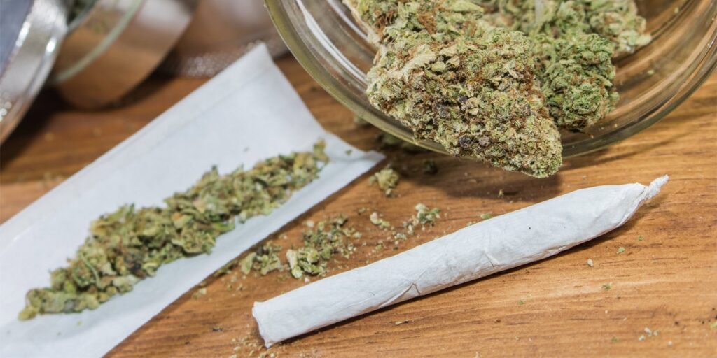 Cannabis use in older adults is not associated with cognitive decline or progression of dementia