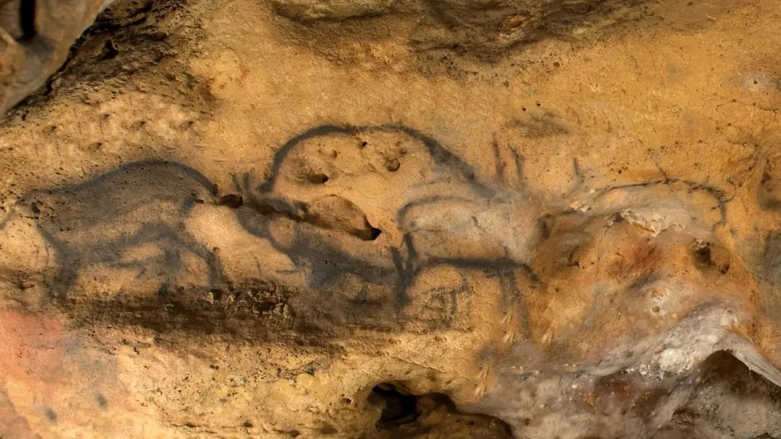 Hidden charcoal reveals true age of ancient cave paintings