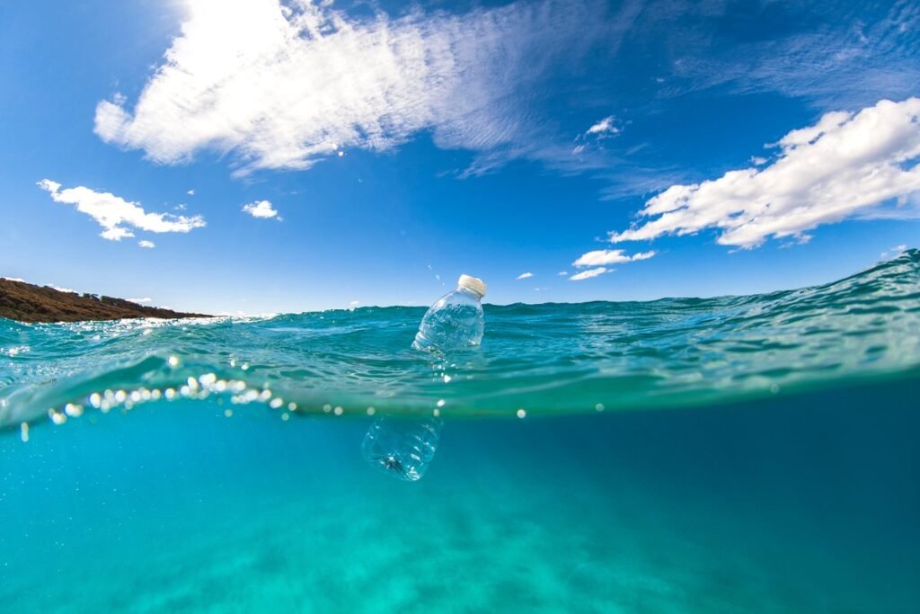When marine scientists discovered a plastic bottle floating in the ocean, they were shocked to find this large animal living inside, unable to escape. When marine scientists discovered a plastic bottle floating in the ocean, they were shocked to find this large animal living inside, unable to escape.