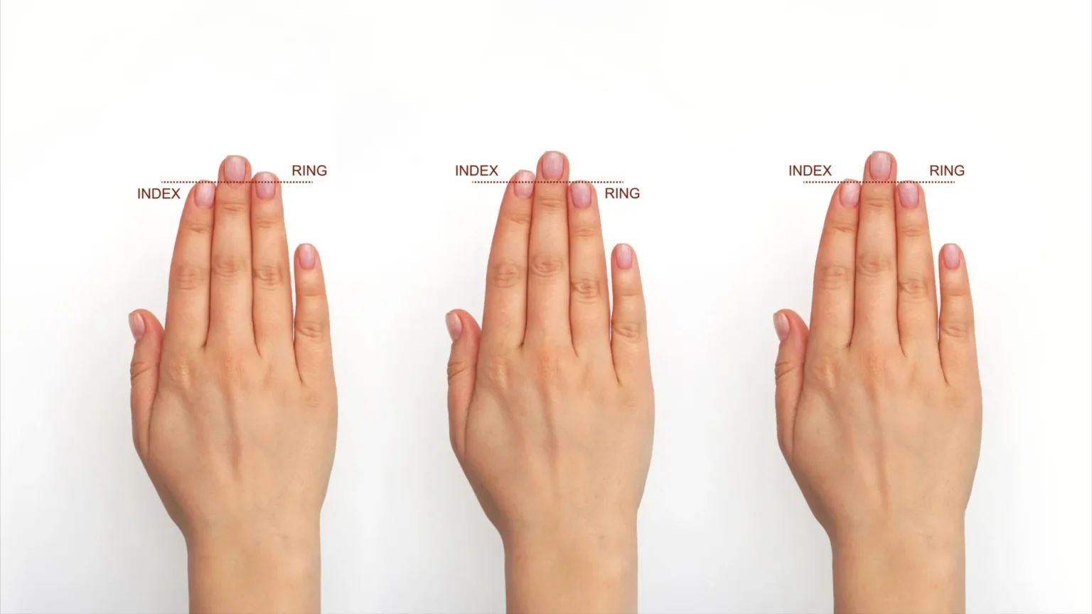 Your fingers may hold the secret to human brain evolution