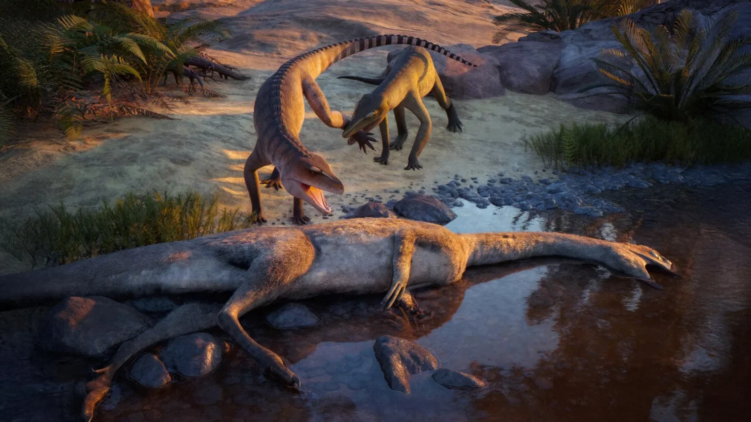 Forgotten fossils reveal new Triassic predator from 210 million years ago Forgotten fossils reveal new Triassic predator from 210 million years ago
