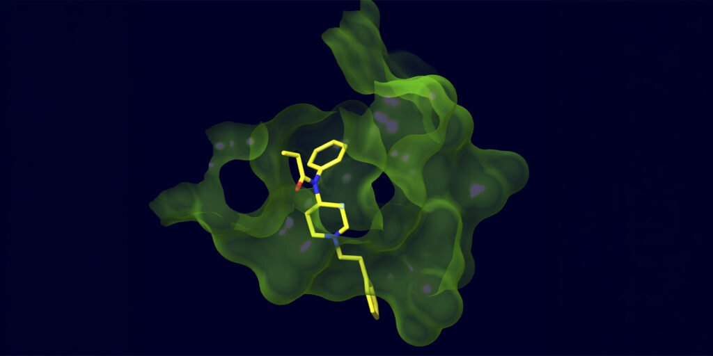 Scientists develop breakthrough vaccine to outwit illegal fentanyl analogs Scientists develop breakthrough vaccine to outwit illegal fentanyl analogs