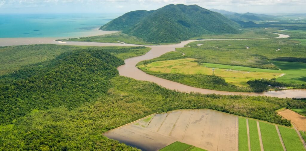 Water pollution has long been a threat to the Great Barrier Reef, but plans to solve it have not been achieved