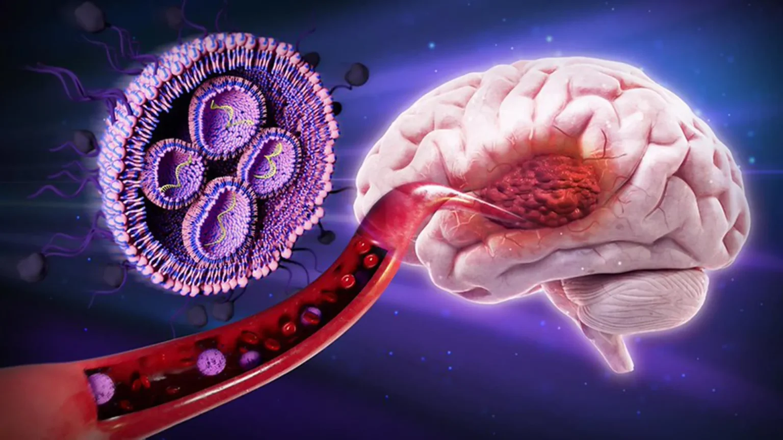 This sugar-coating therapy increased survival rates of mice against deadly brain tumors by 50% This sugar-coating therapy increased survival rates of mice against deadly brain tumors by 50%