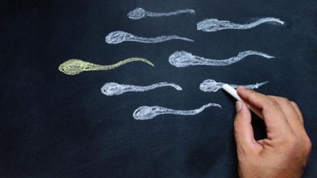 Fact Check: Can Microplastics Affect Male Fertility? Fact Check: Can Microplastics Affect Male Fertility?