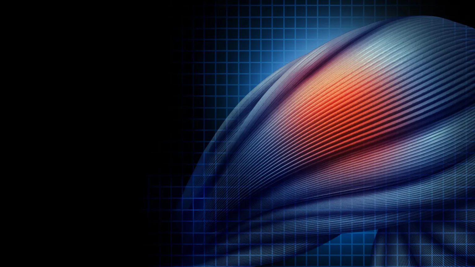 Old muscle stem cells can rejuvenate and act again, but there is a catch. Old muscle stem cells can rejuvenate and act again, but there is a catch.