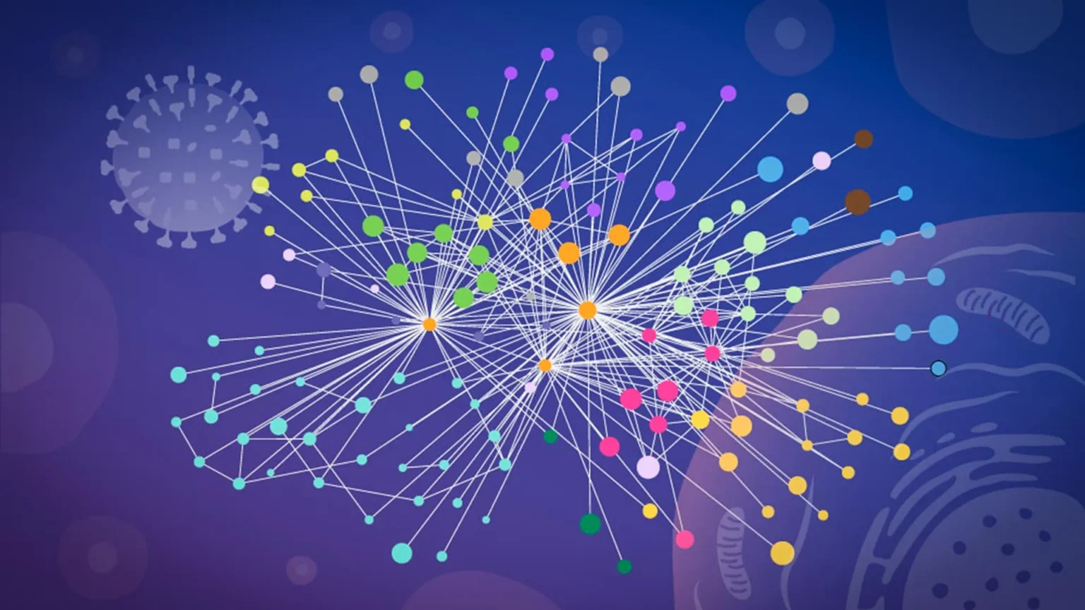 New molecular map reveals how influenza virus hijacks human cells New molecular map reveals how influenza virus hijacks human cells