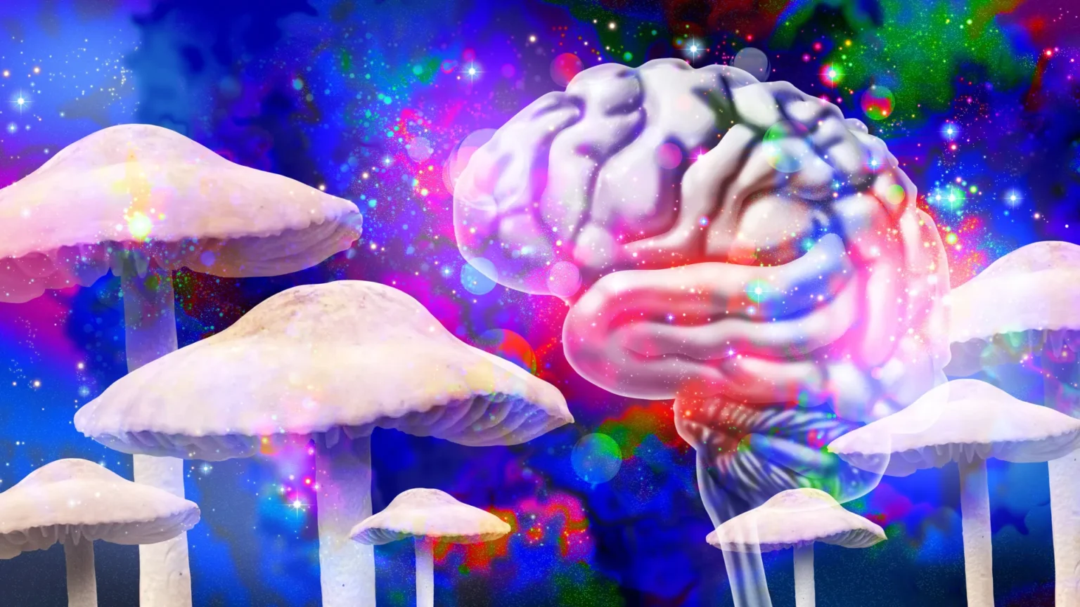 Magic mushrooms may reshape your brain even after your trip is over Magic mushrooms may reshape your brain even after your trip is over