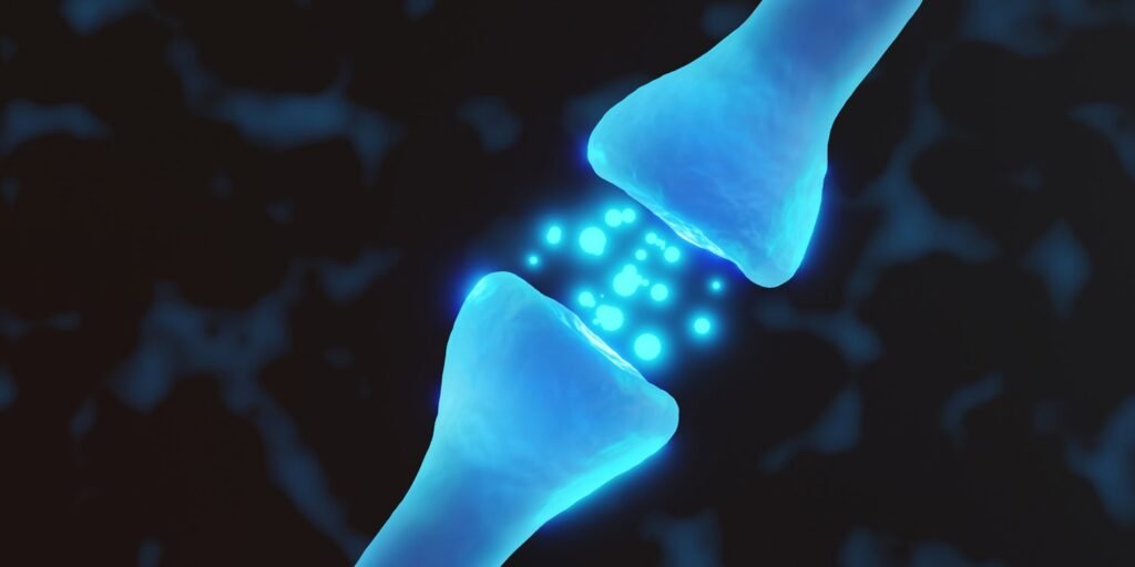 Differences in brain structure in autism map to the location of serotonin receptors
