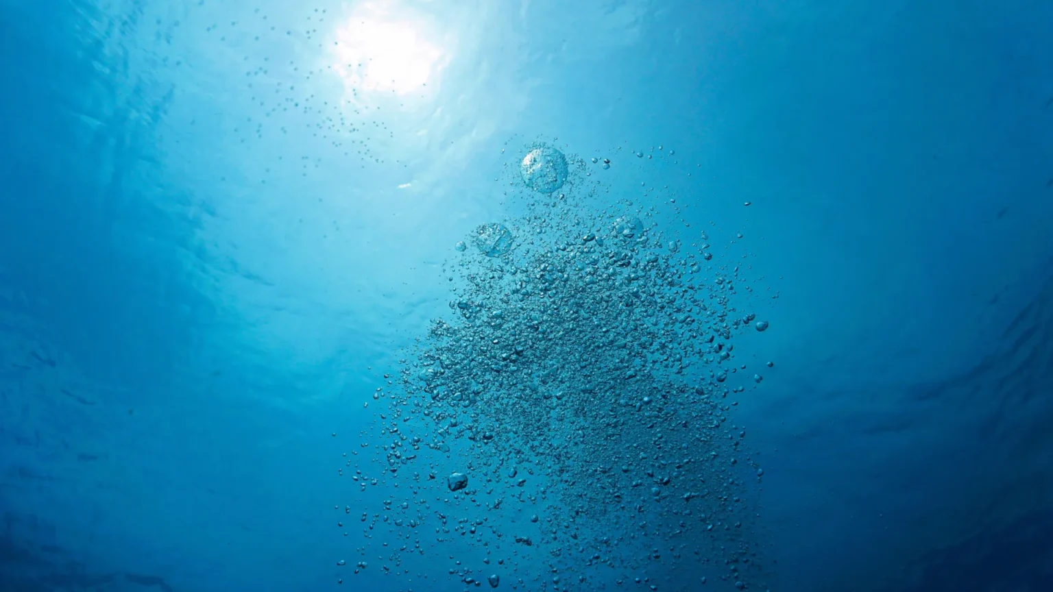 Scientists warn that Earth’s water is quietly becoming oxygen-depleted Scientists warn that Earth’s water is quietly becoming oxygen-depleted
