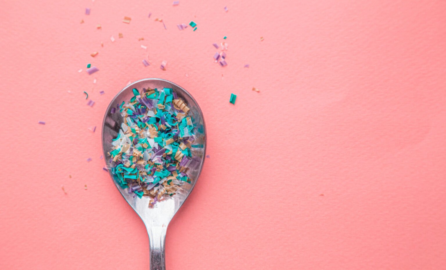 Research on microplastics reveals weakening of bones Research on microplastics reveals weakening of bones