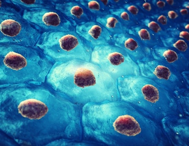 Cell-binding proteins regulate stem cell signaling and tissue homeostasis Cell-binding proteins regulate stem cell signaling and tissue homeostasis