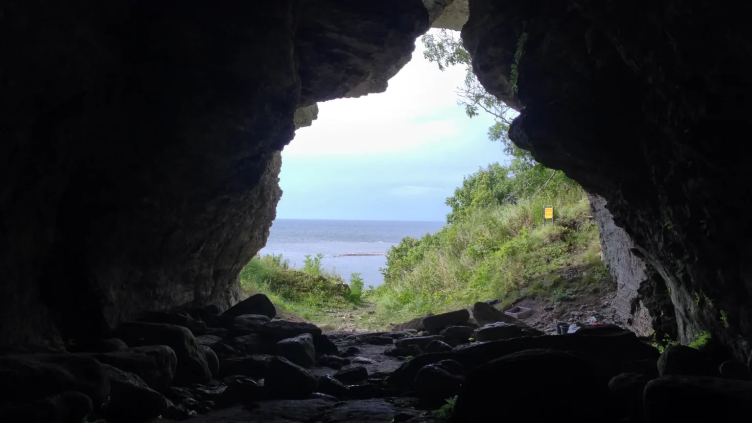 5,000-year-old wolf discovered on remote island rewrites what we know about domestication 5,000-year-old wolf discovered on remote island rewrites what we know about domestication