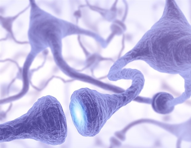 Study provides insight into how long-term inflammation contributes to cognitive decline Study provides insight into how long-term inflammation contributes to cognitive decline