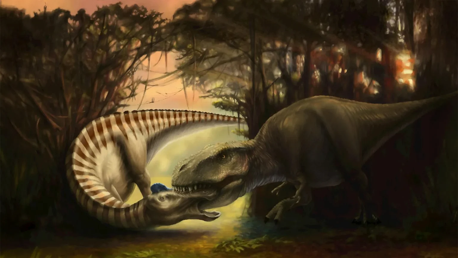 This dinosaur fossil captures the final moments of a Tyrannosaurus attack.