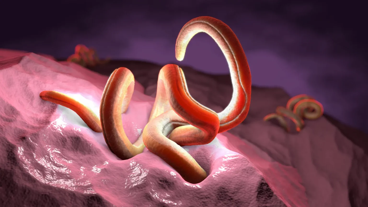 Scientists have discovered a beneficial nutrient that parasites cannot live without