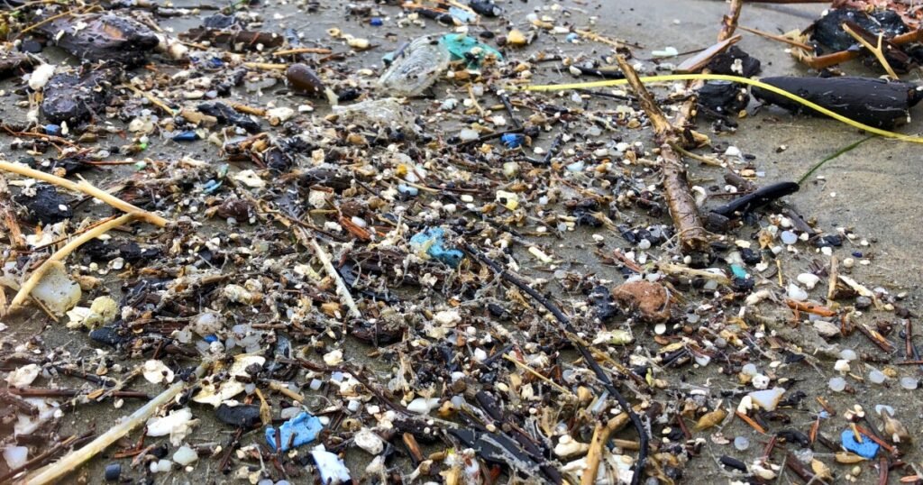 Researchers tested more than 75 waterways in Texas for microplastics. almost everyone had Researchers tested more than 75 waterways in Texas for microplastics. almost everyone had