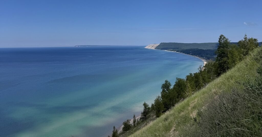 New study tracks PFAS in Great Lakes food web for more than 40 years