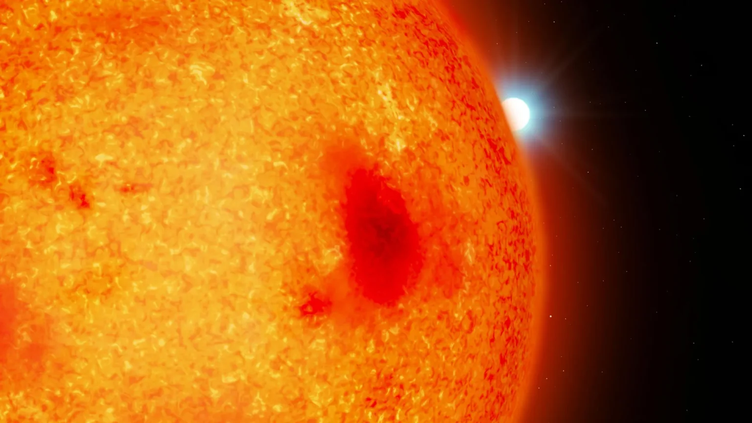 Astronomers have discovered four white dwarf stars hidden near Earth