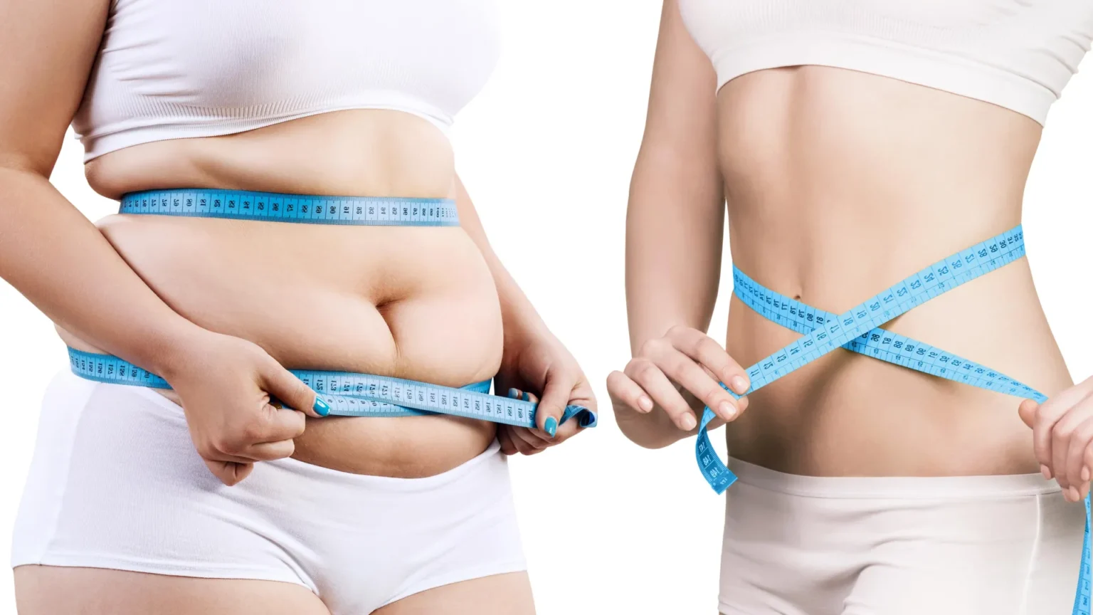 Scientists discover protein switch that burns fat and blocks new fat cells Scientists discover protein switch that burns fat and blocks new fat cells
