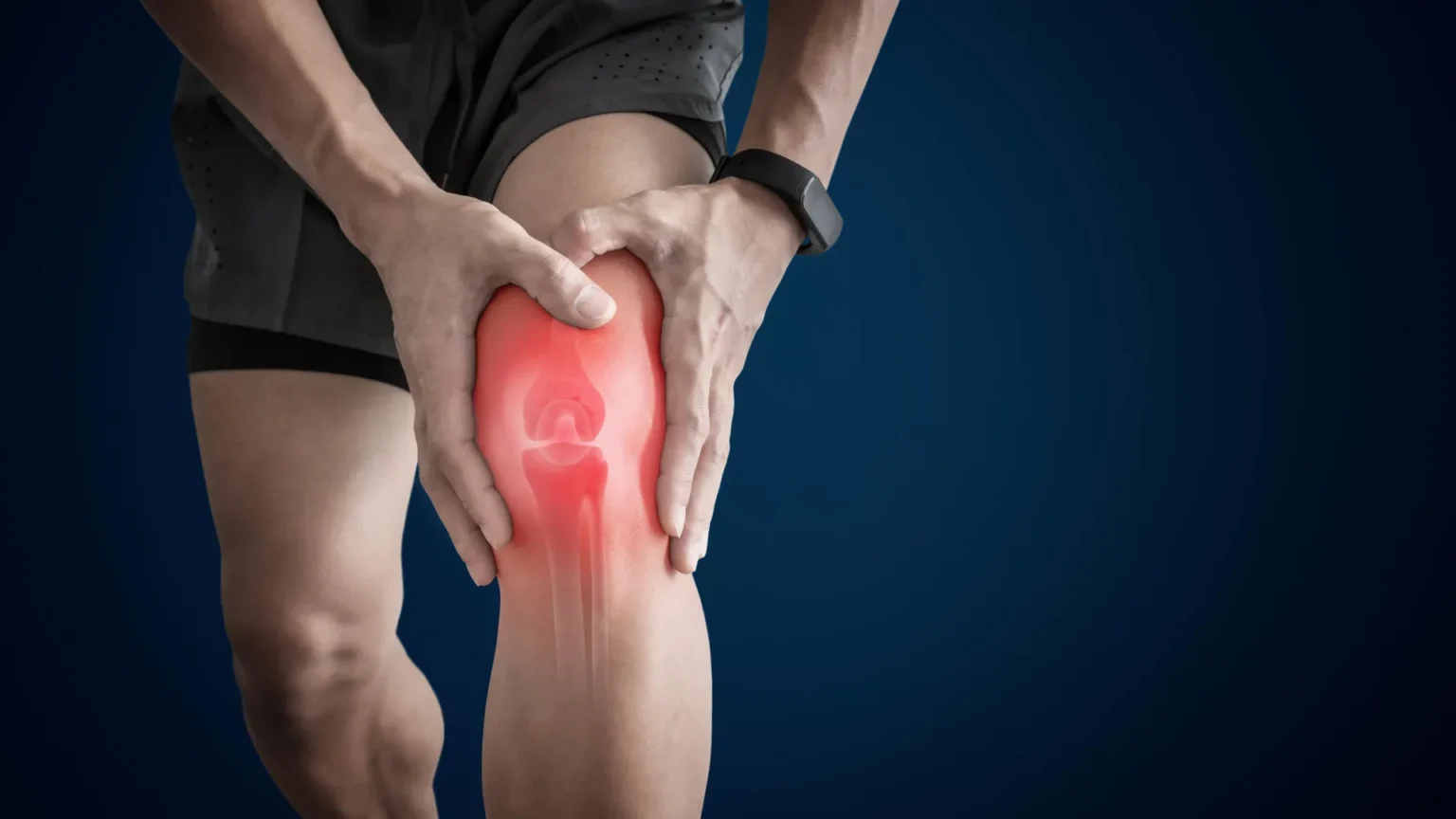 Daily fiber supplement reduced knee arthritis pain and improved muscle strength Daily fiber supplement reduced knee arthritis pain and improved muscle strength